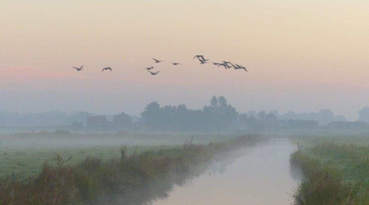 Polderlodge Hillegom Bagian luar foto
