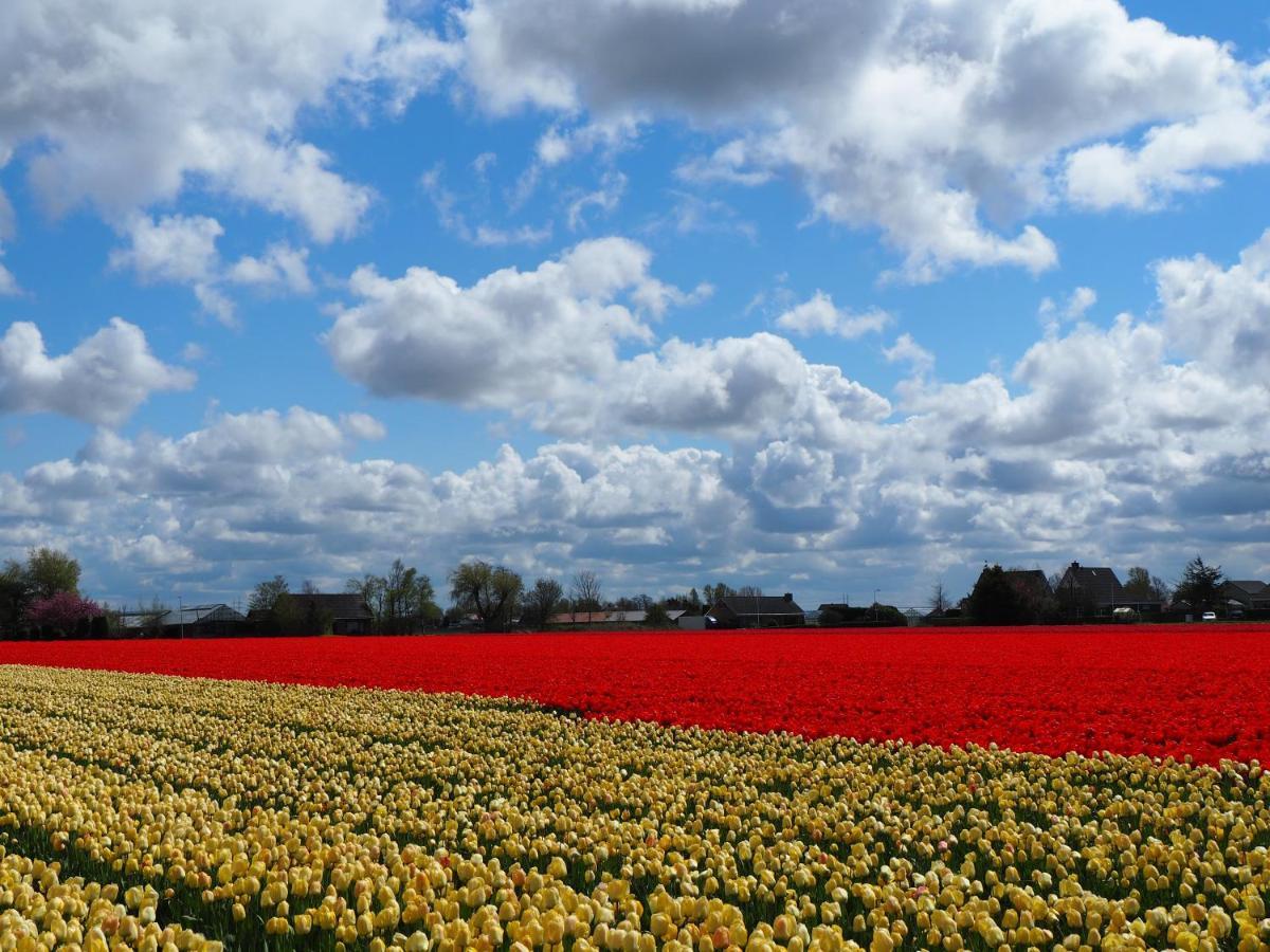 Polderlodge Hillegom Bagian luar foto