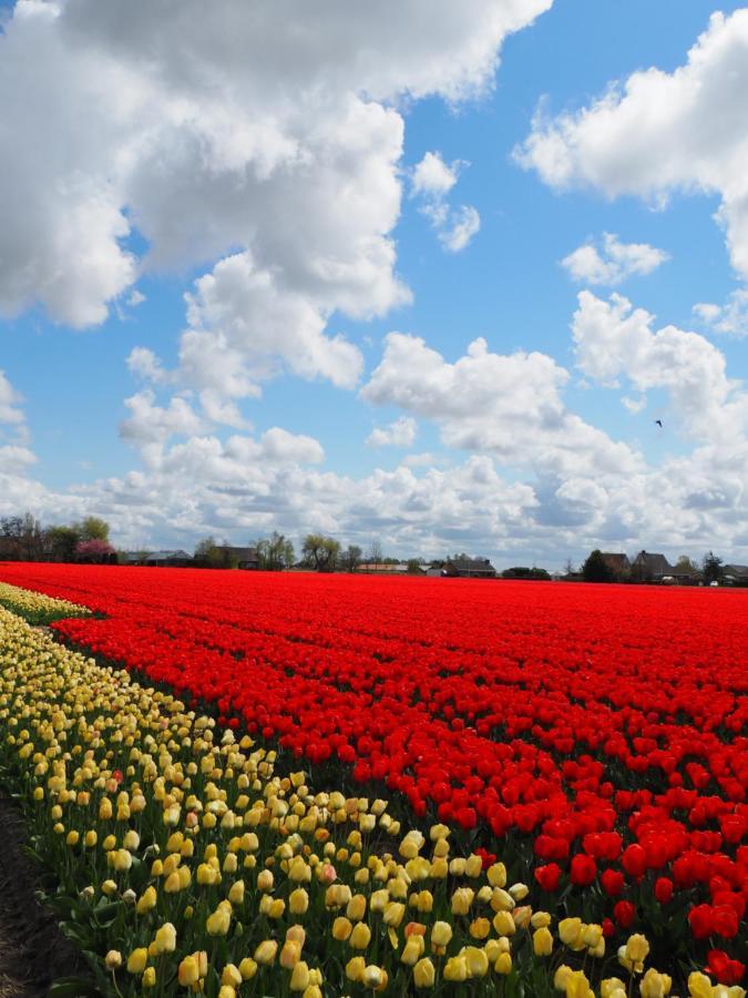Polderlodge Hillegom Bagian luar foto