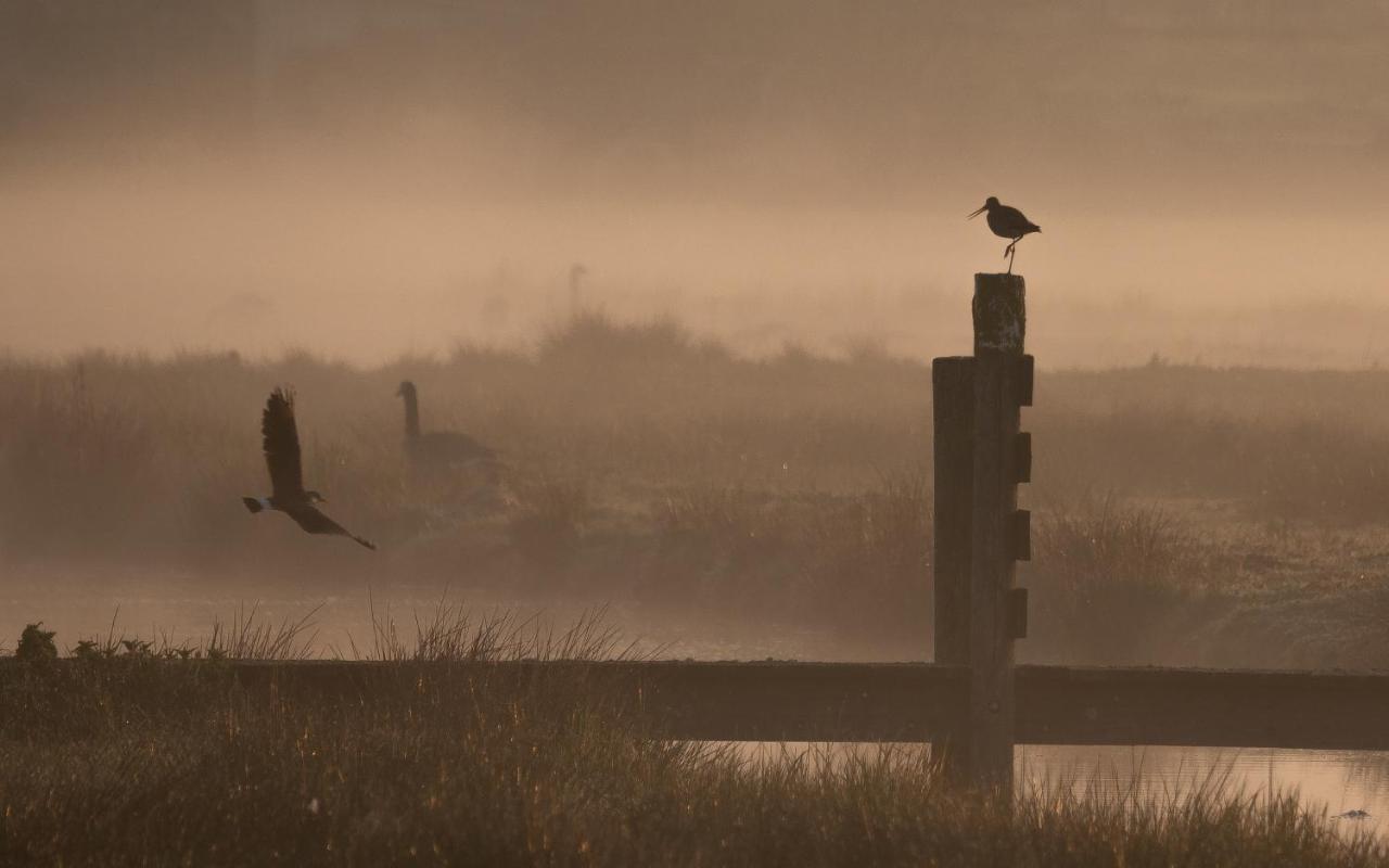 Polderlodge Hillegom Bagian luar foto