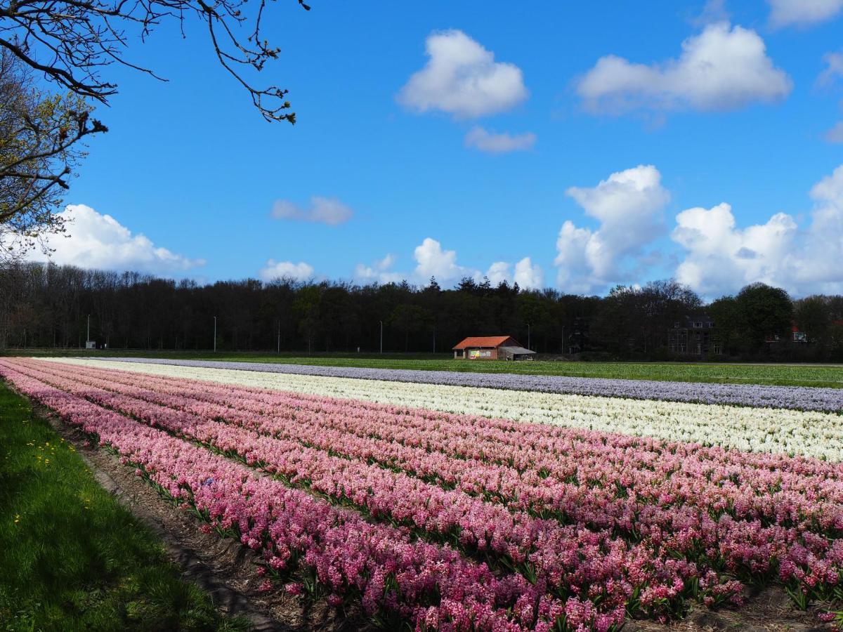Polderlodge Hillegom Bagian luar foto